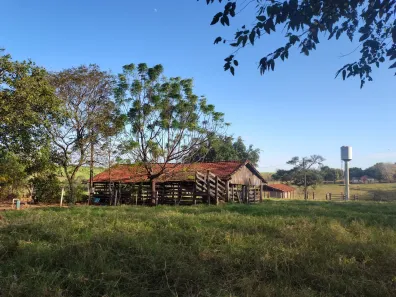 Fazenda/Sítio com 3 Quartos à venda, 34364m² no Junqueira, Monte Aprazível