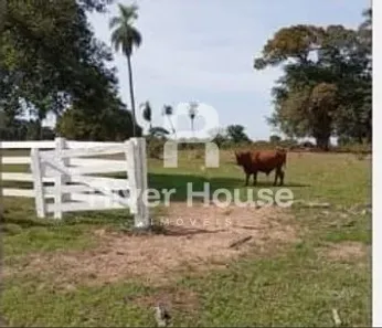 Fazenda/Sítio com 3 Quartos à venda, 150m² no , Nossa Senhora do Livramento