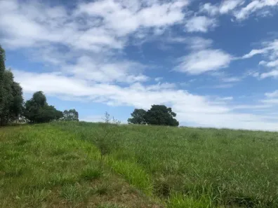 Lote/Terreno à venda, 120000m² no Camboim, Sapucaia do Sul