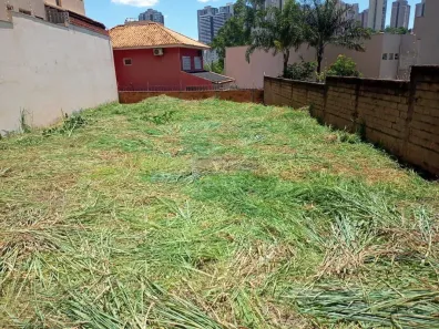 Lote/Terreno à venda, 316m² no Jardim Botânico, Ribeirão Preto