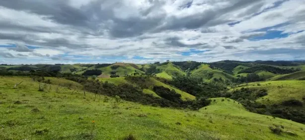 Fazenda/Sítio à venda, 459800m² no , Cunha