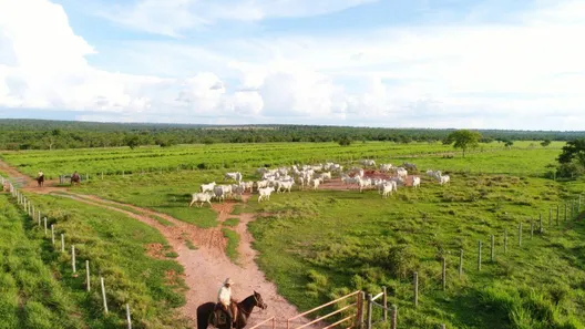 Fazenda/Sítio com 2 Quartos à venda, 100m² no Vila Taquarussu, Campo Grande