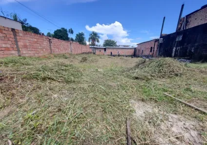 Lote/Terreno à venda, 440m² no Novo Aleixo, Manaus