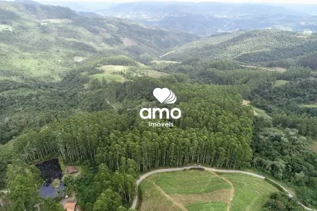 Fazenda/Sítio à venda, 140000m² no , Vidal Ramos