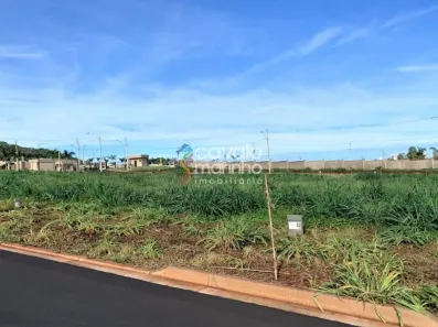 Lote/Terreno à venda, 250m² no Quinta da Mata, Ribeirão Preto
