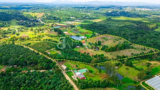 Fazenda/Sítio à venda, 59000m² no Santa Gema, Colombo