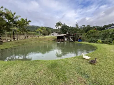 Fazenda/Sítio com 3 Quartos à venda, 2m² no , Luiz Alves