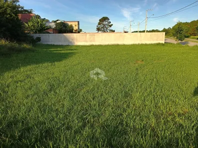Lote/Terreno à venda, 495m² no São João do Rio Vermelho, Florianópolis