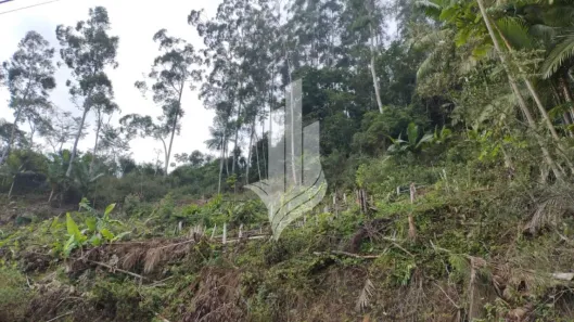 Lote/Terreno à venda, 13228m² no Velha Central, Blumenau