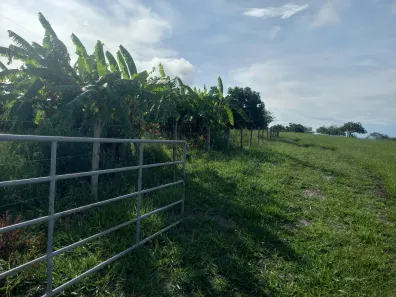 Fazenda/Sítio com 2 Quartos à venda, 169400m² no , Santo Antônio da Alegria