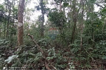 Lote/Terreno à venda, 1141m² no Boa Vista, Mairiporã
