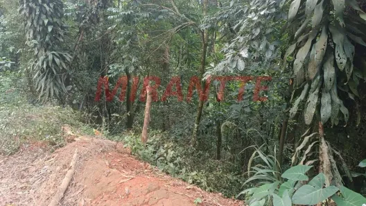Lote/Terreno à venda, 565m² no Samambaia, Mairiporã