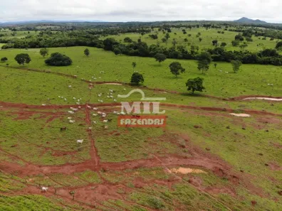 Fazenda/Sítio à venda, 500m² no , Barro Alto