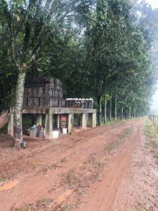 Fazenda/Sítio com 1 Quarto à venda, 323476m² no Fazenda Retiro (Zona Rural), São José do Rio Preto