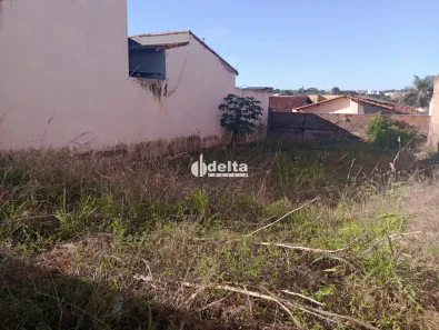 Lote/Terreno à venda, 250m² no Jardim Patrícia, Uberlândia