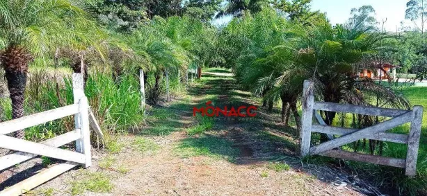 Fazenda/Sítio com 4 Quartos à venda, 600m² no Limoeiro, Londrina