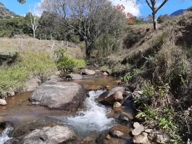 Fazenda/Sítio à venda, 36000m² no , Brazópolis