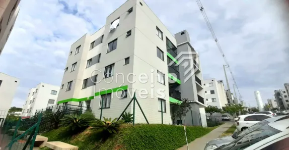 Apartamento com 3 Quartos para alugar, 62m² no Jardim Carvalho, Ponta Grossa
