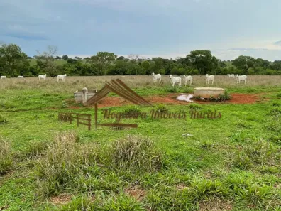 Fazenda/Sítio à venda, 1m² no Garcias, Três Lagoas