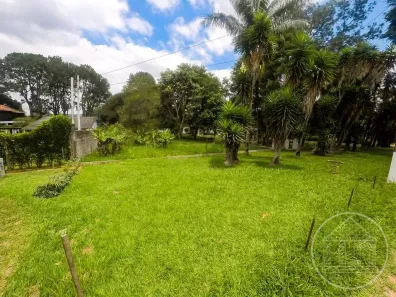 Lote/Terreno à venda, 261m² no Jardim das Palmeiras (Zona Sul), São Paulo