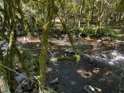 Fazenda/Sítio à venda, 100000m² no , Urubici
