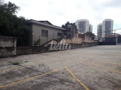 Lote/Terreno para alugar, 333m² no Vila Zelina, São Paulo