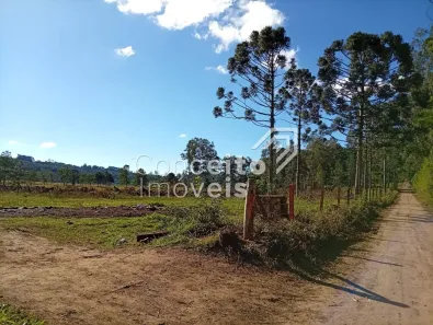Lote/Terreno à venda, 23772m² no Colônia Dona Luíza, Ponta Grossa