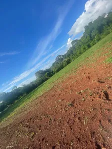 Fazenda/Sítio com 1 Quarto à venda, 3275m² no Parque Los Angeles 1ª Etapa, Goianira
