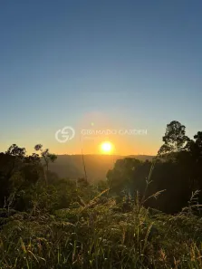 Lote/Terreno à venda, 250m² no Dante, Canela
