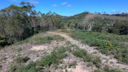 Lote/Terreno à venda, 10000m² no , Domingos Martins