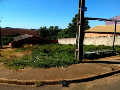 Lote/Terreno à venda, 265m² no Cará-cará, Ponta Grossa