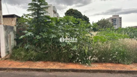 Lote/Terreno à venda, 360m² no Santa Mônica, Uberlândia