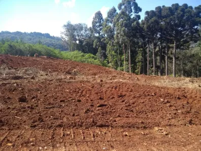 Lote/Terreno à venda, 6500m² no Loteamento Belvedere, Gramado