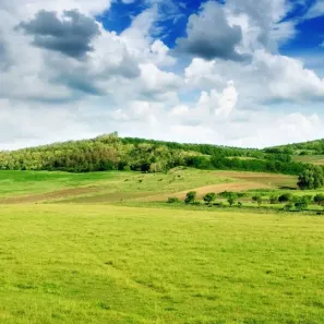 Lote/Terreno à venda, 1000m² no Saboó, São Roque