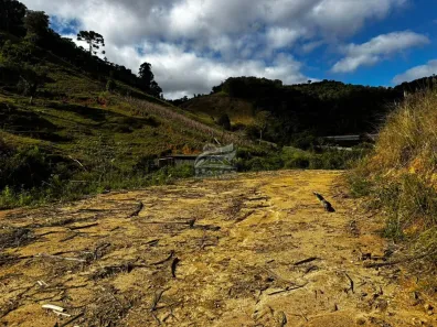 Lote/Terreno à venda, 1439m² no , Angelina