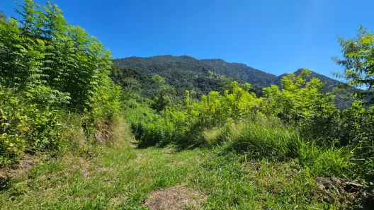 Lote/Terreno à venda, 44800m² no , São Bento do Sapucaí