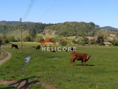 Fazenda/Sítio com 1 Quarto à venda, 400000m² no Centro, Taquara