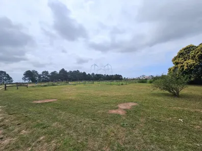 Lote/Terreno à venda, 30000m² no Laranjal, Pelotas