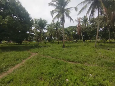 Lote/Terreno à venda, 60000m² no Centro, Canguaretama