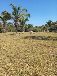 Fazenda/Sítio com 3 Quartos à venda, 400m² no , Minaçu