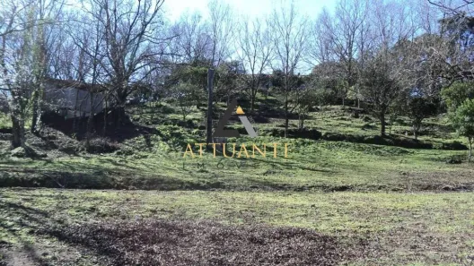 Lote/Terreno à venda, 36250435m² no São Caetano, Caxias do Sul