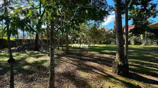 Lote/Terreno à venda, 6369m² no Garcia, Blumenau