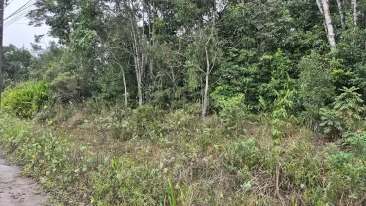 Lote/Terreno à venda, 1650m² no Gaivota (Interior), Itanhaém