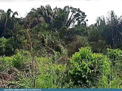 Fazenda/Sítio com 1 Quarto à venda, 418m² no , Turiaçu