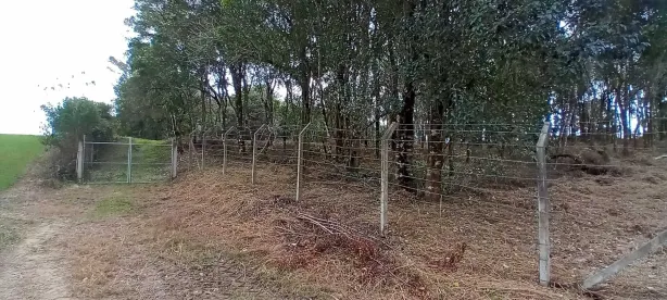 Fazenda/Sítio com 1 Quarto à venda, 81660m² no Centro, Campo Largo