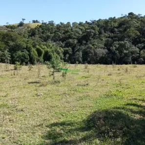 Fazenda/Sítio à venda, 411400m² no Centro, Silveiras
