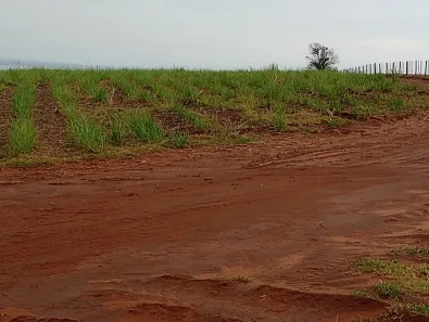 Fazenda/Sítio com 1 Quarto para alugar, 12100000m² no , Teodoro Sampaio