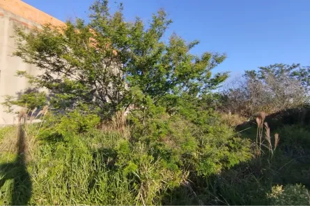 Lote/Terreno à venda, 200m² no Brigadeira, Canoas