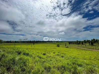 Fazenda/Sítio com 4 Quartos à venda, 6822600m² no , Candeias do Jamari