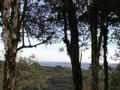 Lote/Terreno à venda, 1593m² no Tres Pinheiros, Gramado